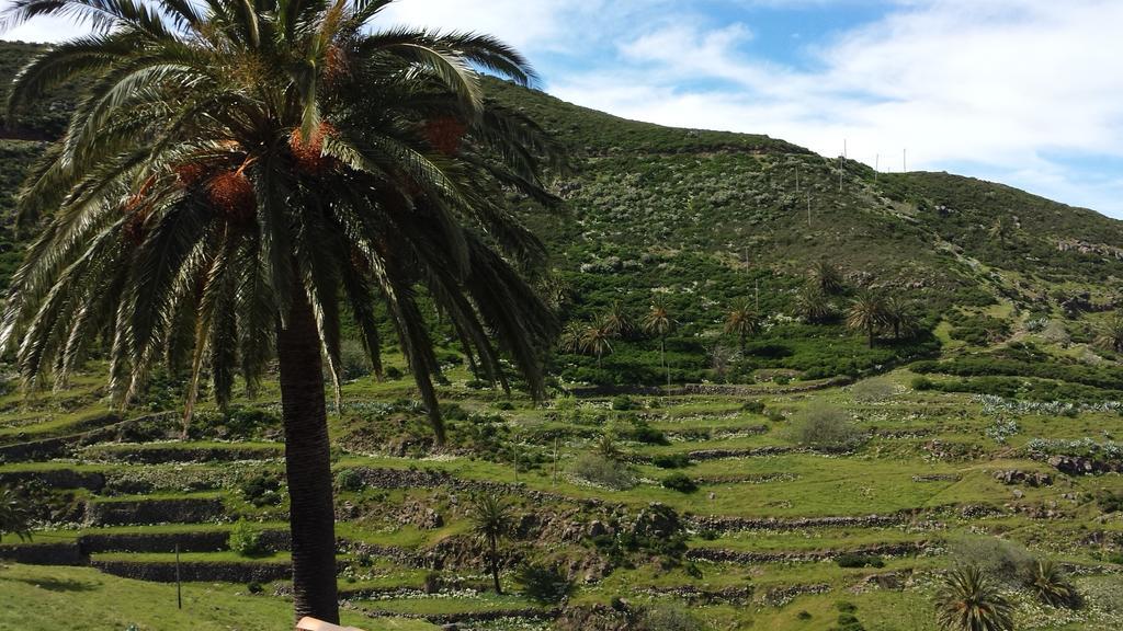 Casas Rurales Los Manantiales El Cercado Εξωτερικό φωτογραφία